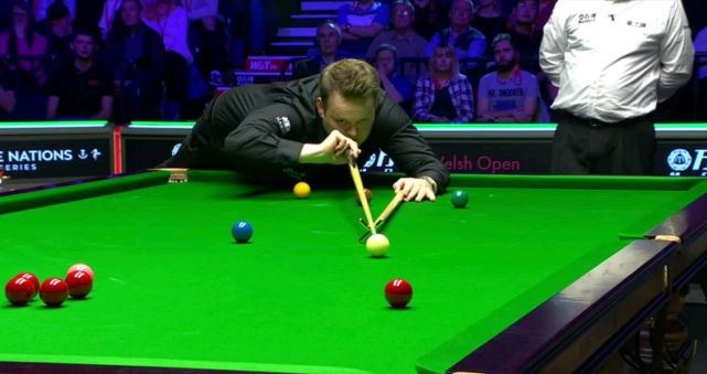 退灰熊的关 退灰熊的关