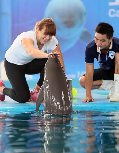 可能改写季 可能改写季